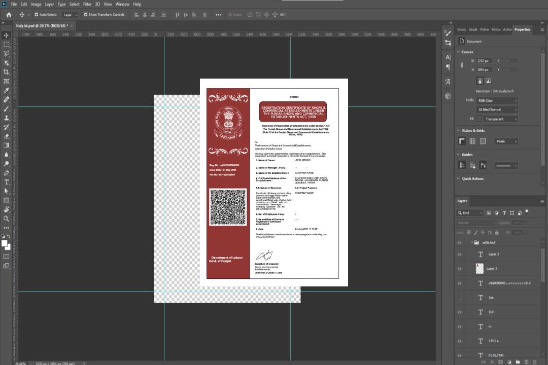 Modèle Word et PDF de certificat d'enregistrement du Pendjab en Inde template